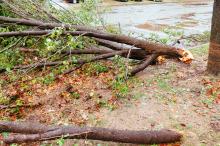 Wat dekt je verzekering bij stormschade?